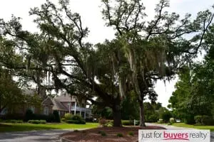 Windward Oaks - 17