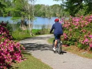 biking-just-for-buyers