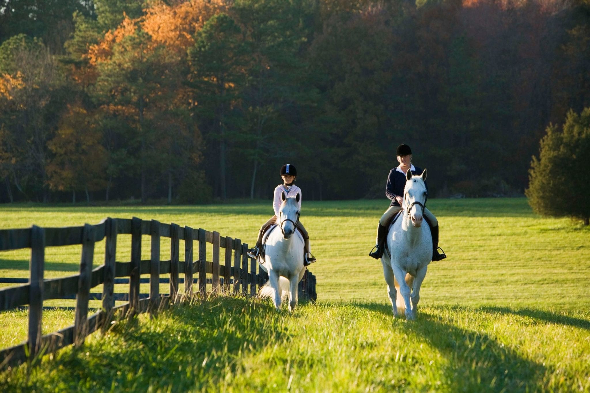 Houses For Sale in Wilmington NC Equestrian