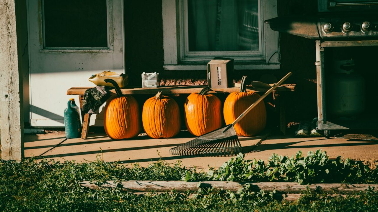 a group of pumpkins outside a house