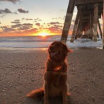 Maker at Johnnie Mercers Pier at Wrightsville Beach. Photo taken by Amber Norris