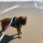 Brec spending the day at Carolina Beach. Photo taken by JFB Agent Jennifer Reinholt.