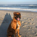 Brec spending the day at Kure Beach. Photo taken by JFB Agent Jennifer Reinholt.