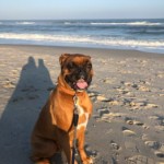 Brec spending the day at Kure Beach. Photo taken by JFB Agent Jennifer Reinholt.