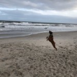 Brec spending the day at Carolina Beach. Photo taken by JFB Agent Jennifer Reinholt.