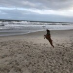 Brec spending the day at Carolina Beach. Photo taken by JFB Agent Jennifer Reinholt.
