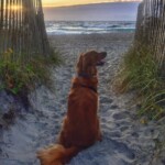 Maker enjoying the view at Wrightsville Beach. Photo taken by Amber Norris