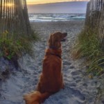 Maker enjoying the view at Wrightsville Beach. Photo taken by Amber Norris