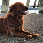 Maker underneath Johnnie Mercers Pier at Wrightsville Beach. Photo taken by Amber Norris