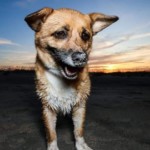 E,mmie enjoying twlight at Fort Fisher. Photo taken by Sherrie Buffum.